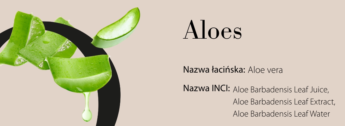 Aloes